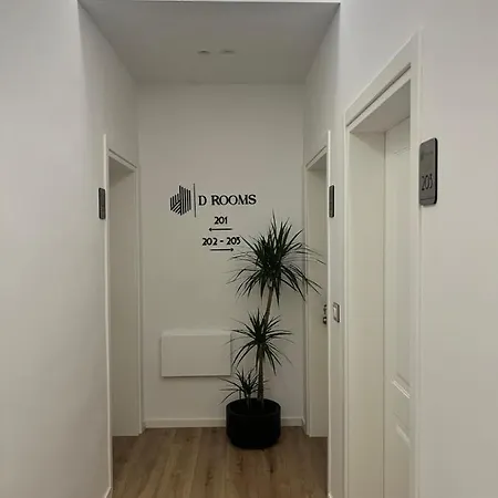 Enzo -central Blloku Tirana